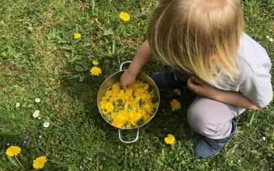 Syrop z mniszka lekarskiego